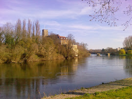 My River Neckar