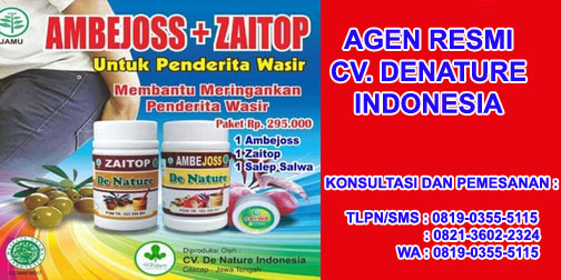 Obat Wasir (Ambeien) Pada Wanita Hamil