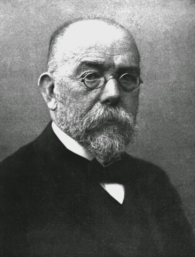 Robert Koch Net Worth