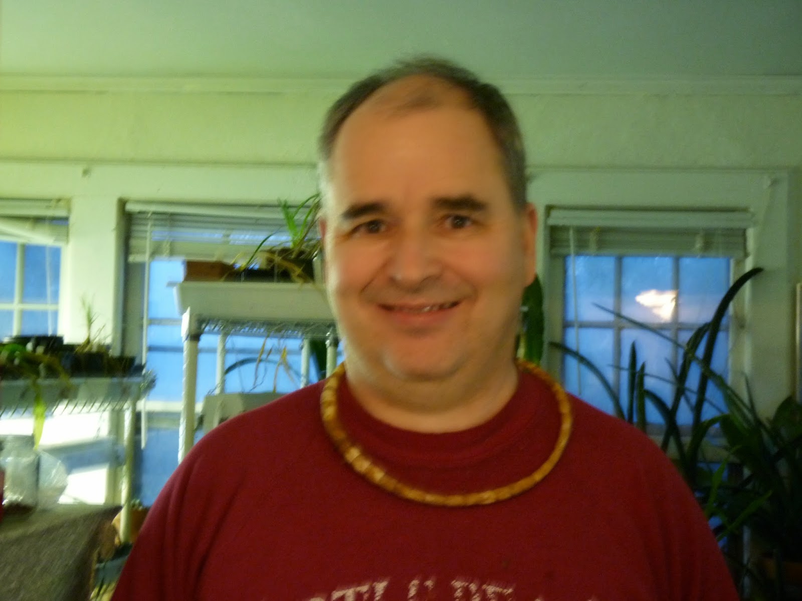 A not so simple garden Costus spectabilis, a Spectacular Plant Indeed