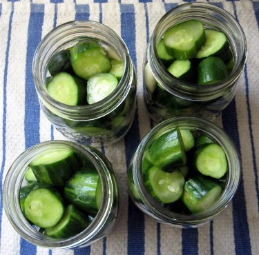 homemade garlic dill pickles