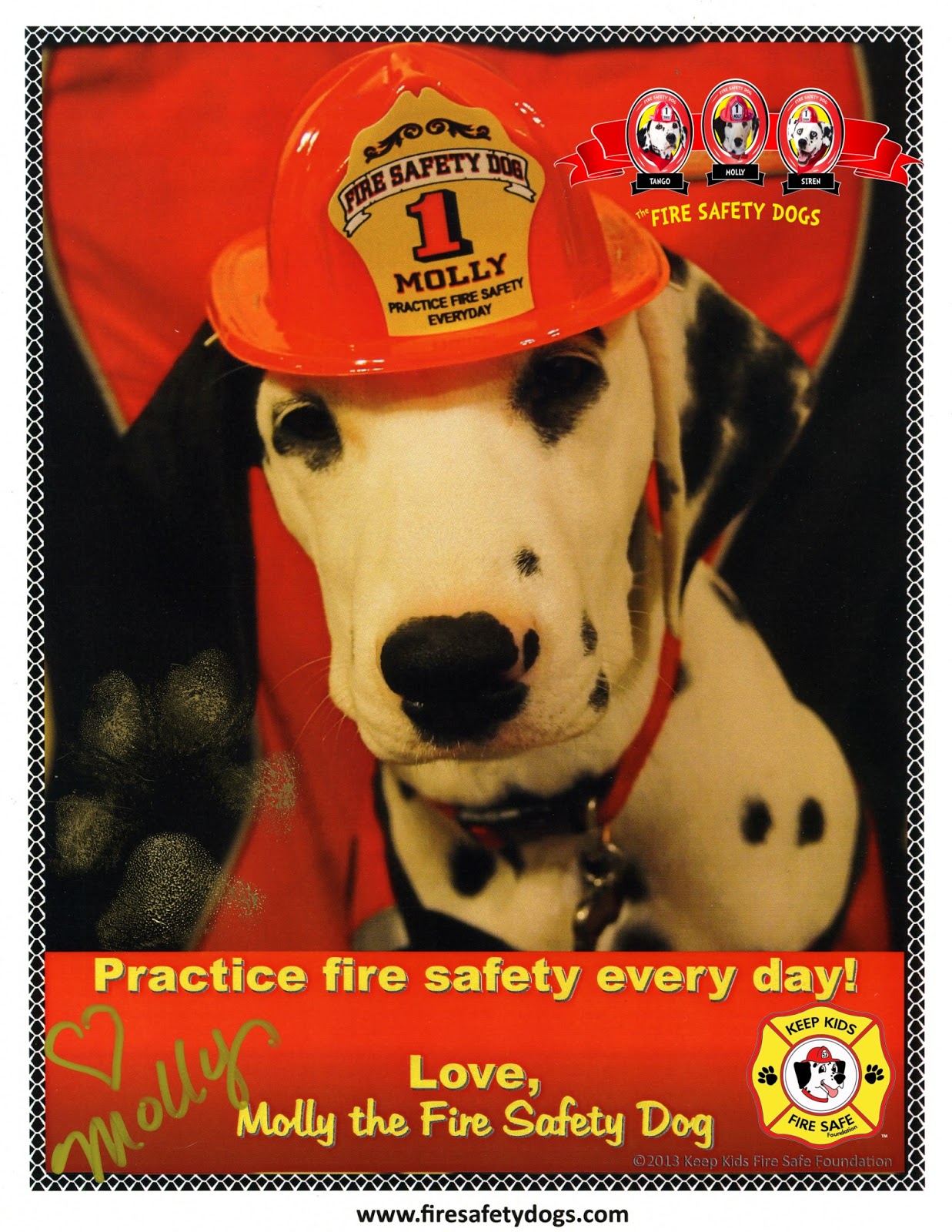 Fire Safety Rocks New Pawtographed Picture of Molly the Fire Safety Dog!