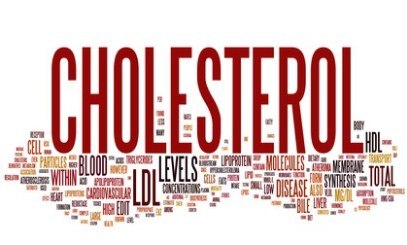 What is Causes Low HDL Cholesterol Levels in Your Body? What is Causes Low HDL Cholesterol Levels in Your Body?