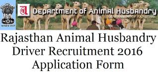  Rajasthan Animal Husbandry Recruitment 2016 – 116 Vehicle Driver Posts