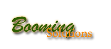 BOOMING SOLUTIONS ... e-payment, Website Management Solutions