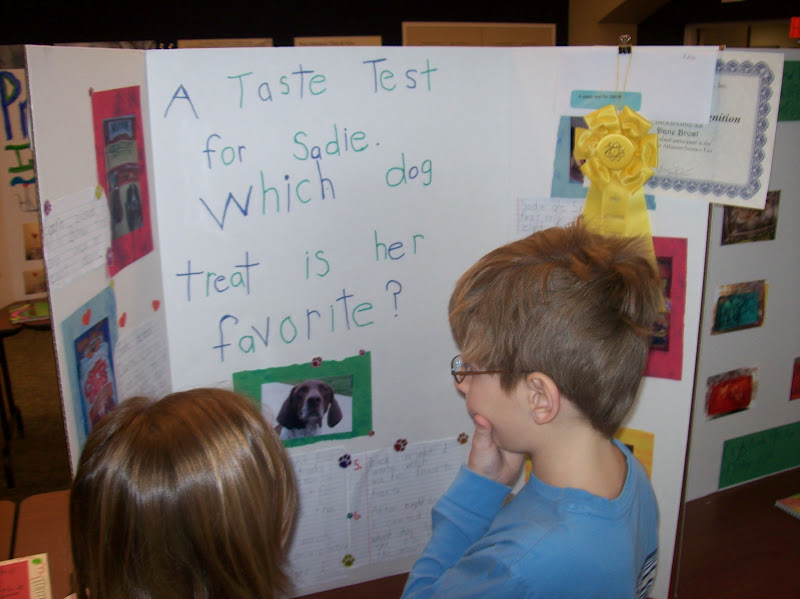 Life in 4B... Fluency, Science Fair, Tribes, & Animal Research Part 7!