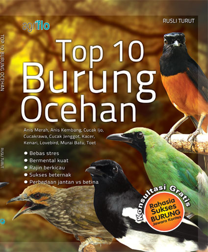 Burung Ocehan