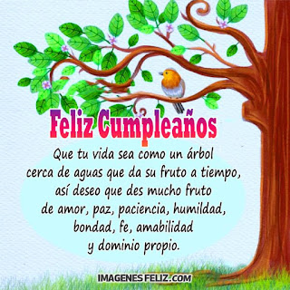 Feliz Cumpleaños Frases Largas Filosóficas Bonitas