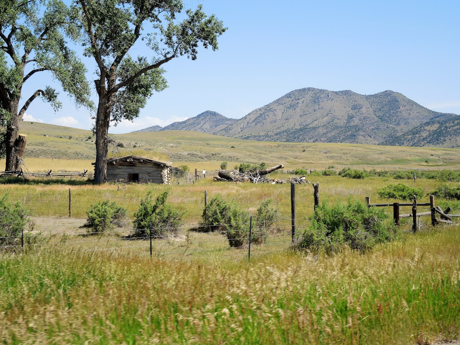 Pillion Papers Green hills in Montana