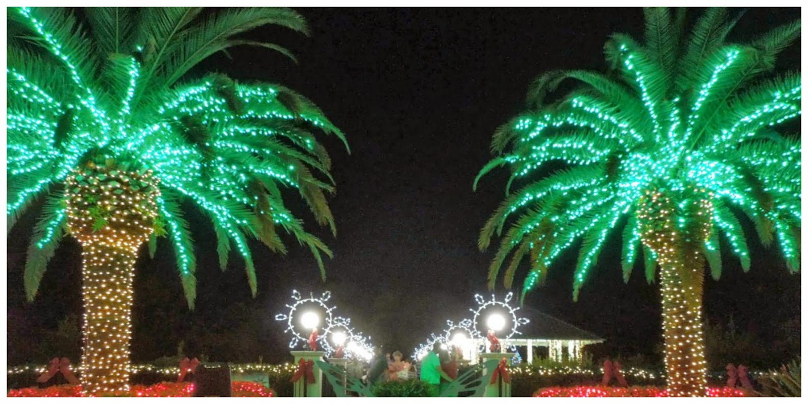 Nadiya...Loving Every Moment What Christmas Looks Like In Florida...