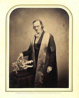 Black and white photo of Richard Owen wearing and academic robe and holding his hand on an animal skull. Owen is balding, hollow cheeked, and has a stern expression on his face.