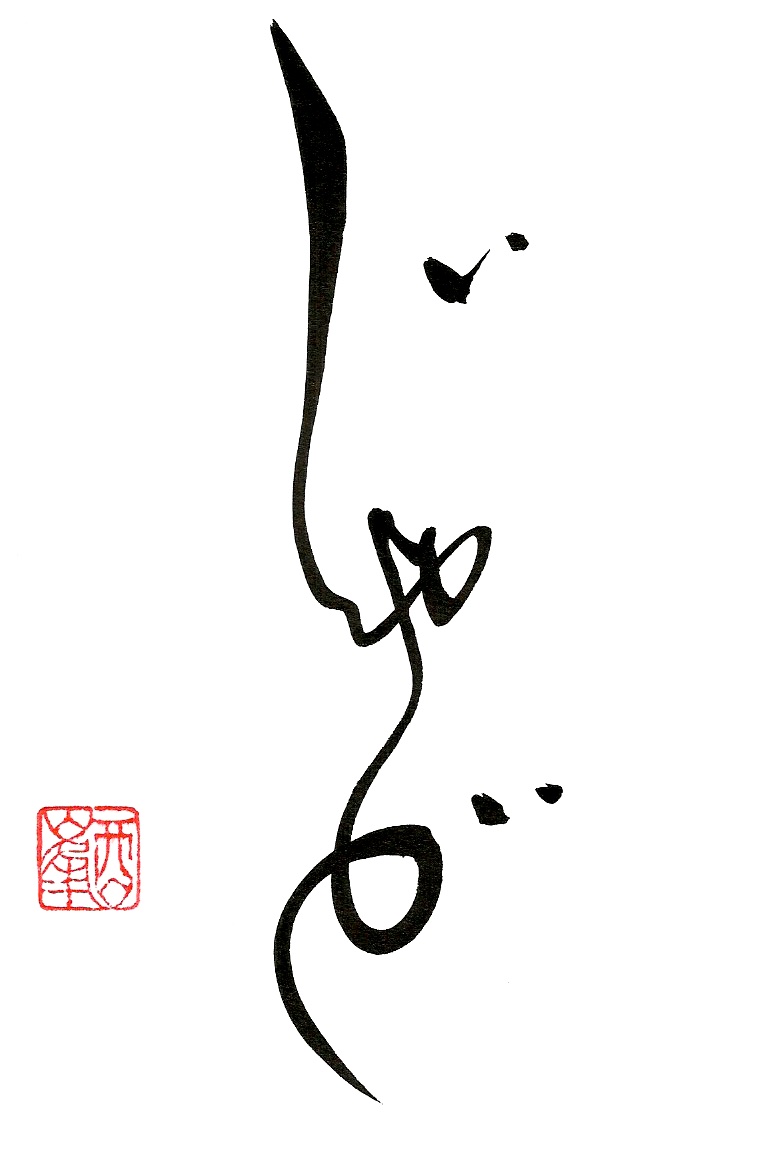 Zen Et Zazen Principes Le Blog De Quanterre