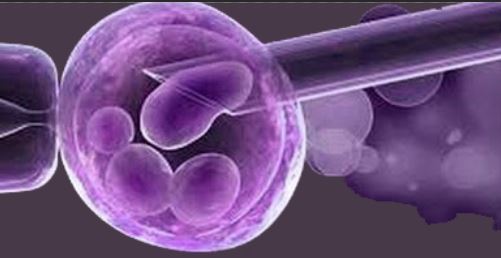 اعراض نزول البويضه بعد الابره التفجيريه