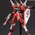 Custom Build: MG 1/100 Infinite Justce Gundam + Resin conversion kit
