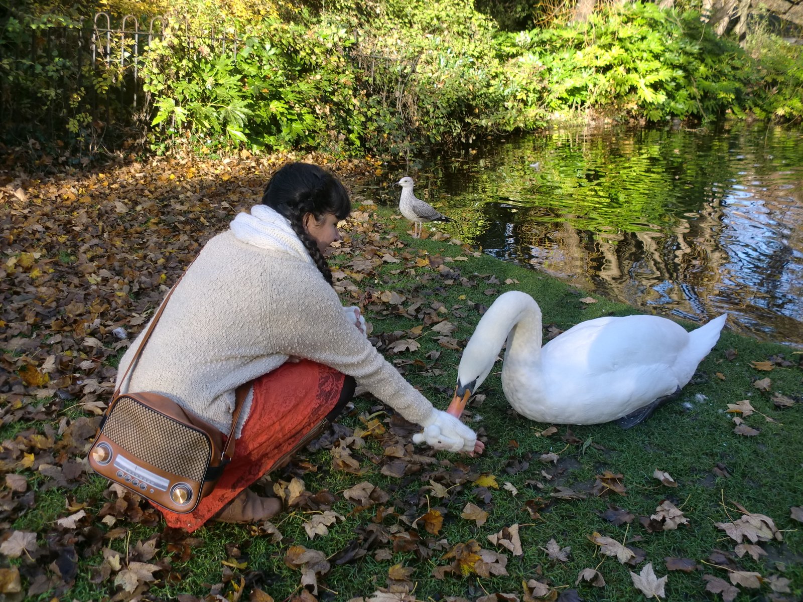 Soplando dientes de león: St Stephen's green park