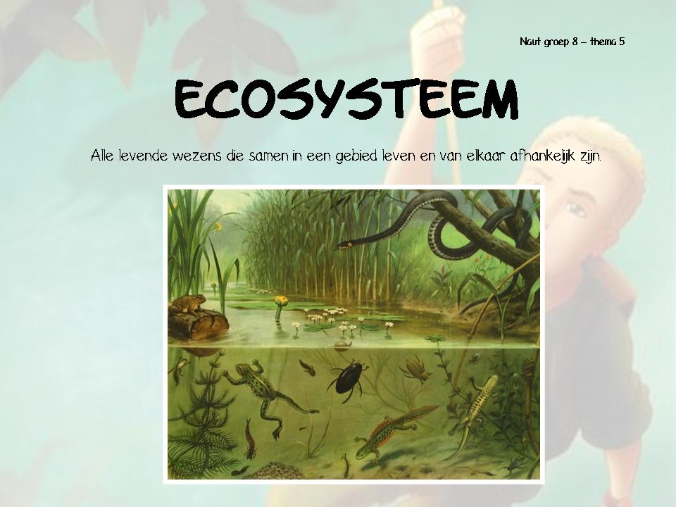 Juf Chantal: Naut groep 8 - thema 5