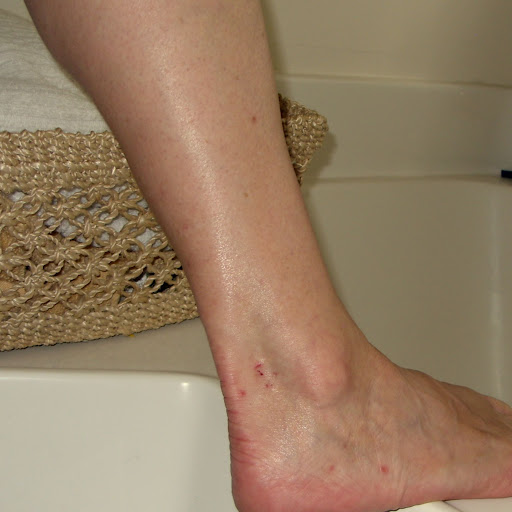 Sweet Home and Garden Carolina DID I SHAVE MY LEGS FOR THIS