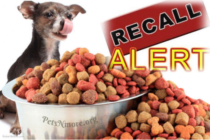 Pets N More: RECALL ALERT! Popular Dog Food Recalled