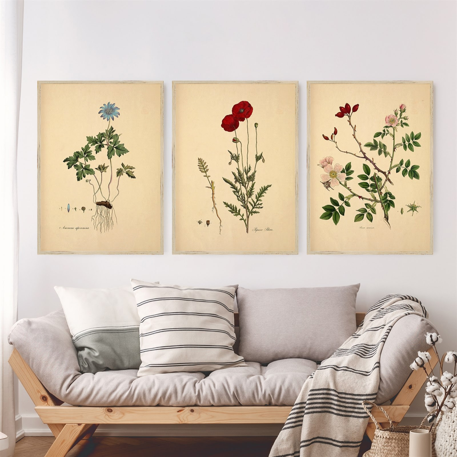 Eccentric Eclectic Woman Vintage Botanical Canvas Prints on Sale at