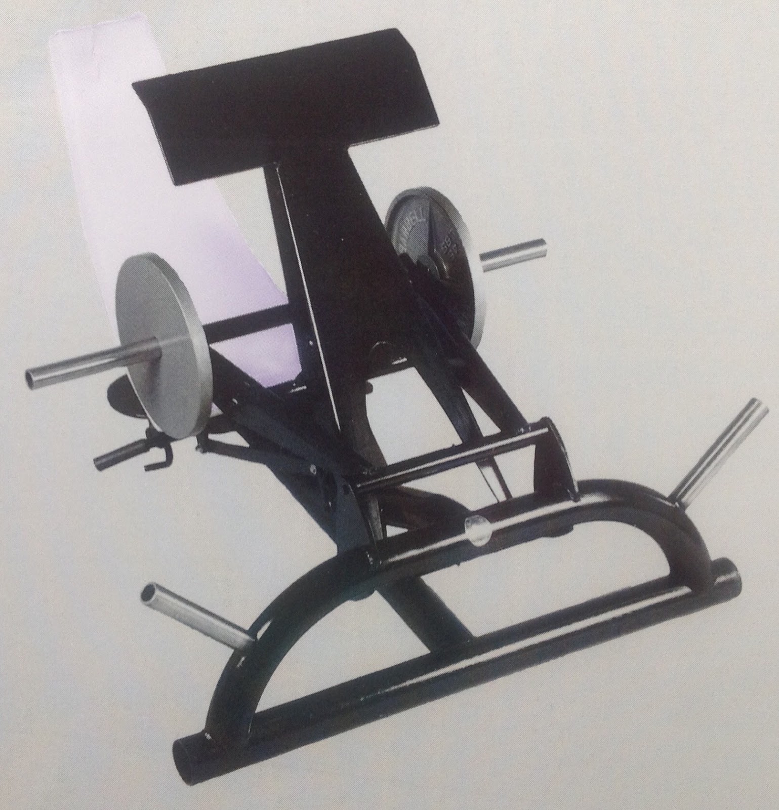 LAMB Bodybuilding Machines Lamb Bodybuilding Machines Description of