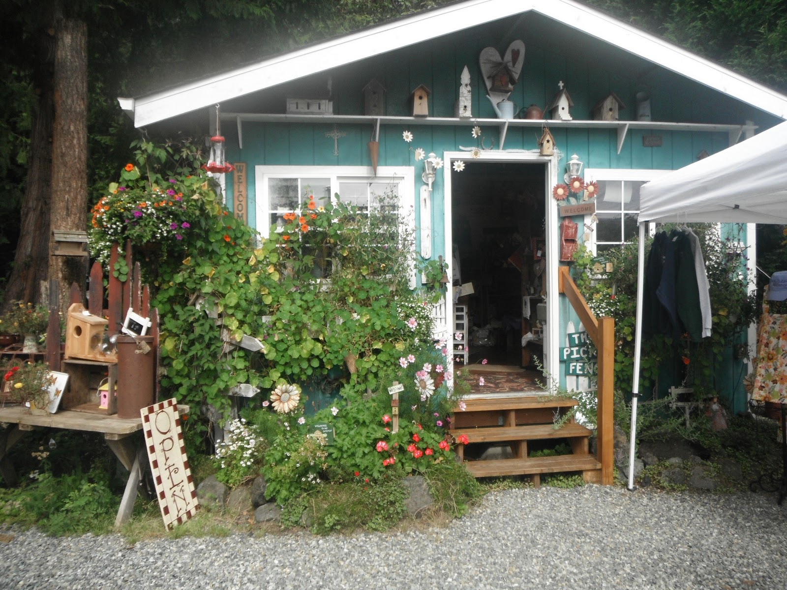 Antiques And Teacups Teacup Tuesday, Shelley Fruit Center, Picket