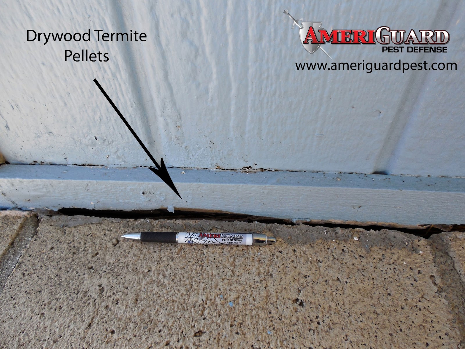 Home Guard Termite Pest And Home Services Home Guard Termite Pest And Home Services