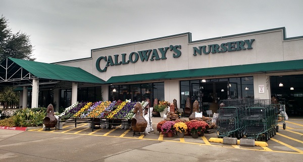 New Job Lead Calloway S Nursery Is Hiring Plano High School Jobs