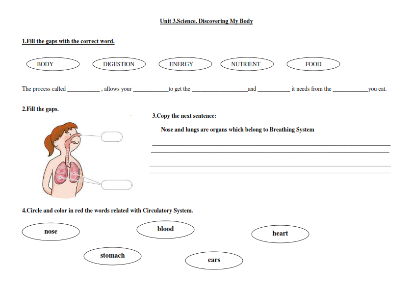 Bilingual Tinar: Some Worksheets might be used in the class