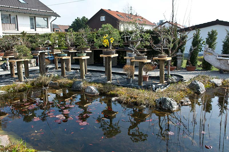Walter Pall Bonsai Adventures Opening of Bonsaigarten München, Germany