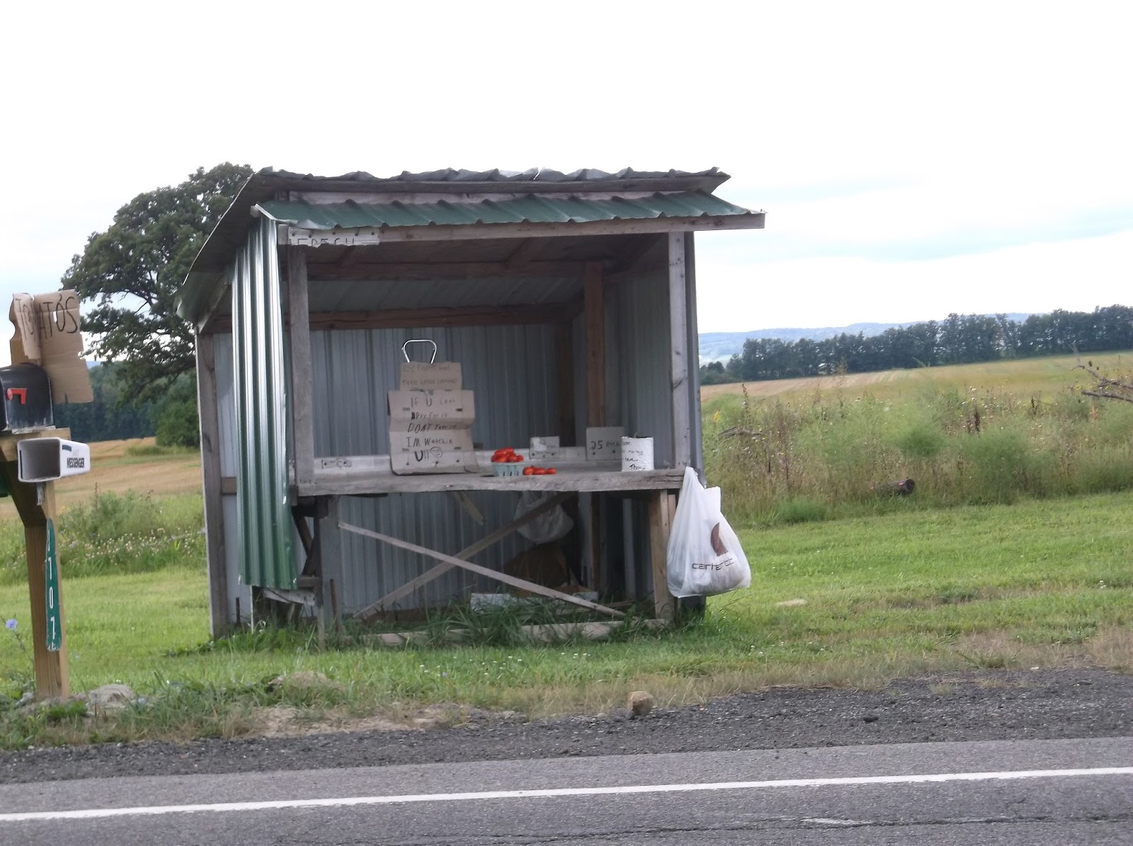 New York State of Mind AMISH, MENNONITE & ENGLISHER ROADSIDE STANDS