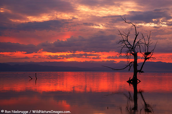 Salton Sea Sunset Photo by Ron Niebrugge