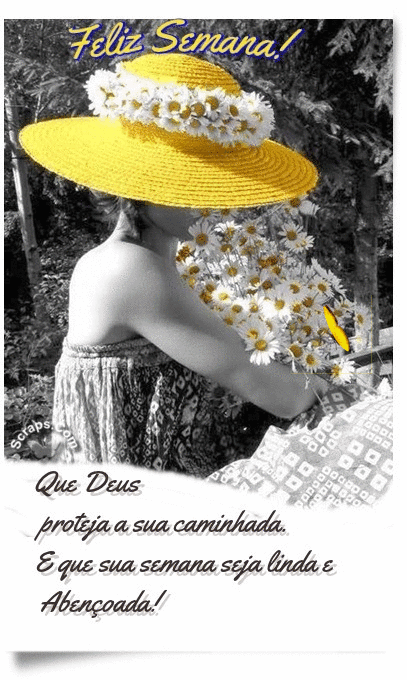 b%2Bsemana-oie_overlay%2B%25281%2529.gif