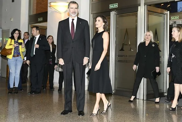 Queen Letizia wore Boss micro sleeveless plisse dress. Hugo Boss Dionia fit and flare dress