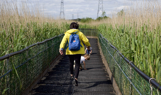 Newport Wetlands