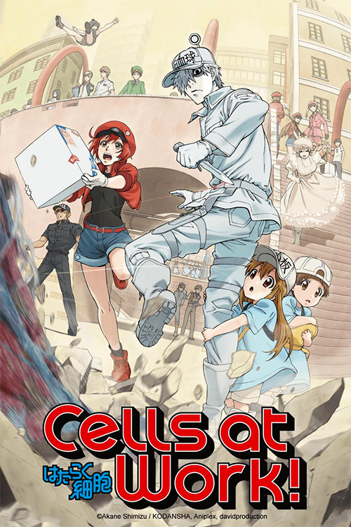 Hataraku Saibou Hataraku Saibou Episodios Completos Descarga Sub Español