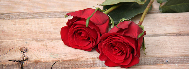 Happy Rose Day 