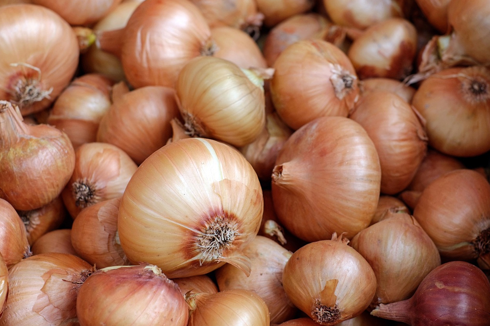 The Crazy Kitchen Get to know all the 6 members of the onion family