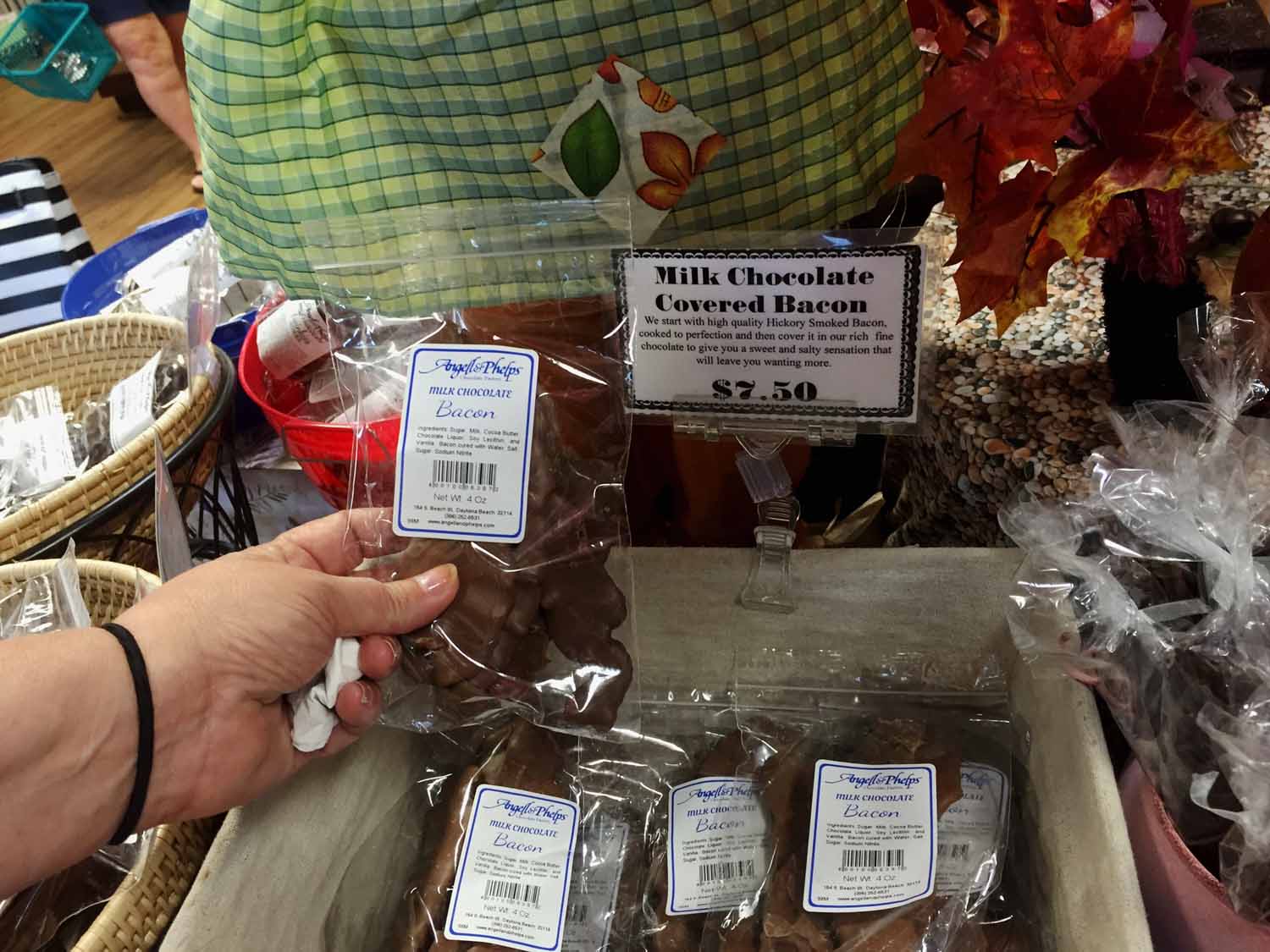 Wine and Spirits Travel Busy Day Exploring Daytona Beach, Florida