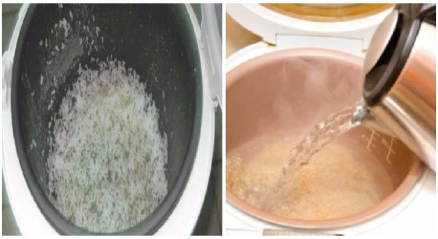 alat masak elektrik rice cooker