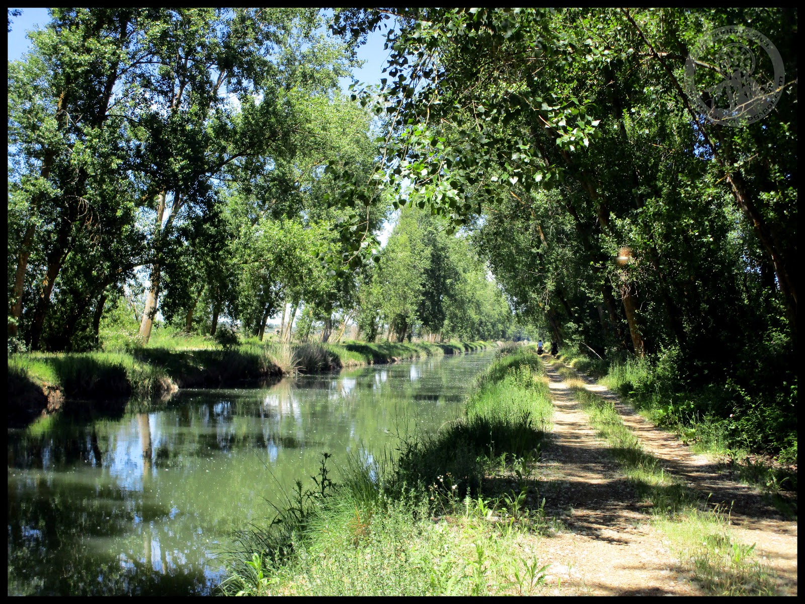 Canal de Castilla. Btt
