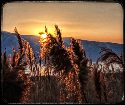 Sunset on the Utah Lake Shore Trail