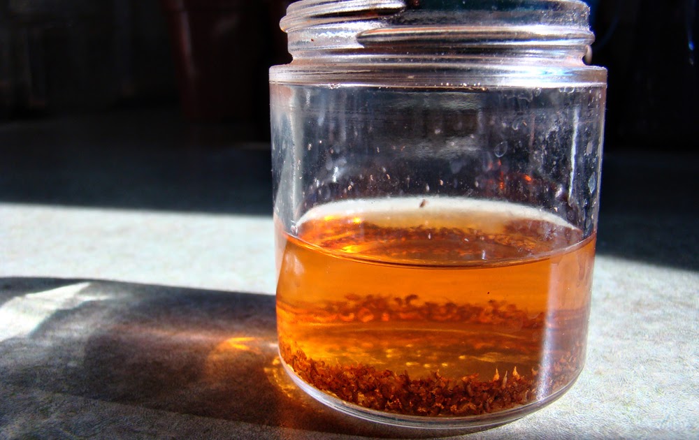 Apple Cider Vinegar VS Fruit Flies article on janice142