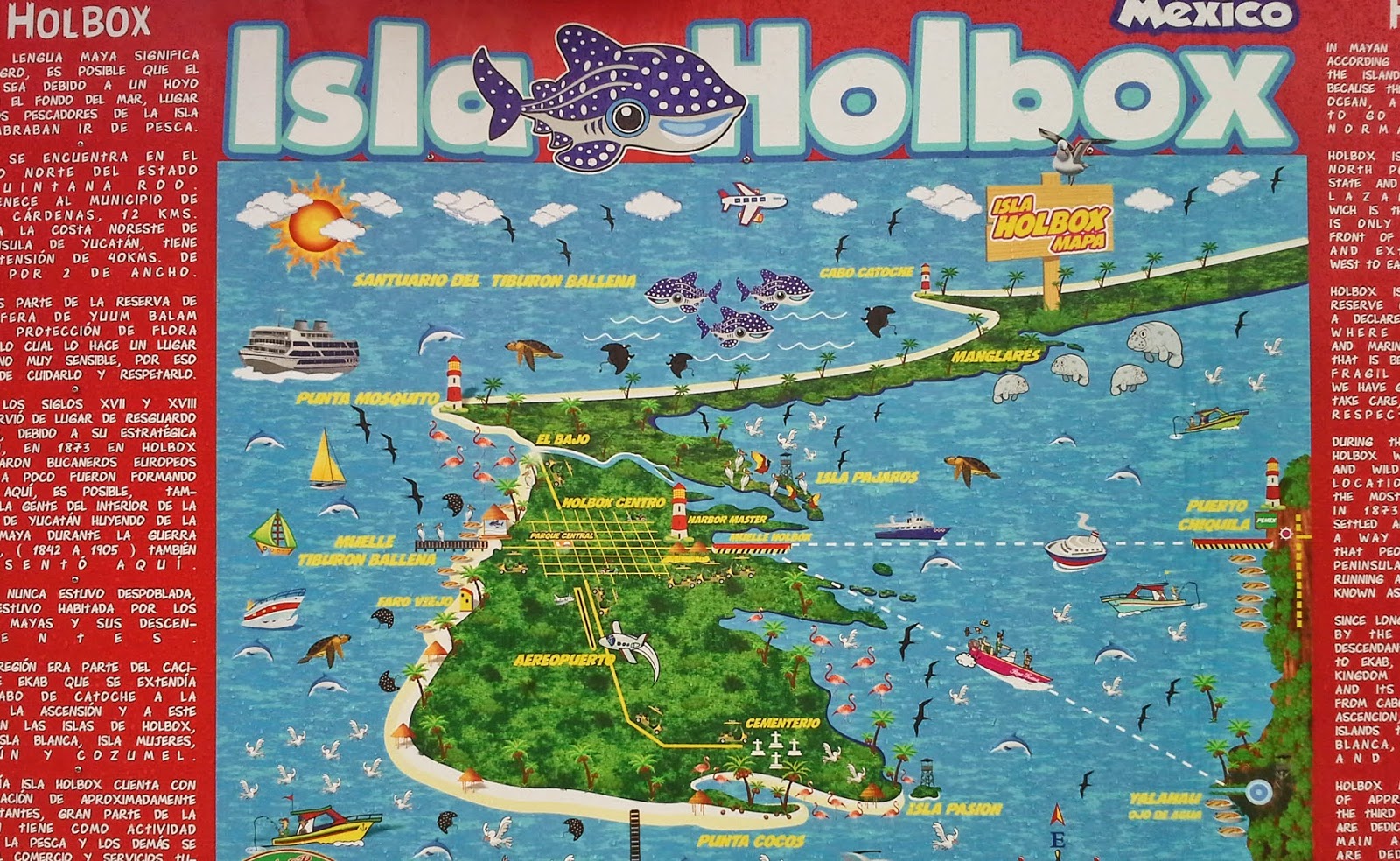 The Obligatory Blog: Hashing out Holbox (Mexico)-We Plan Our Escape