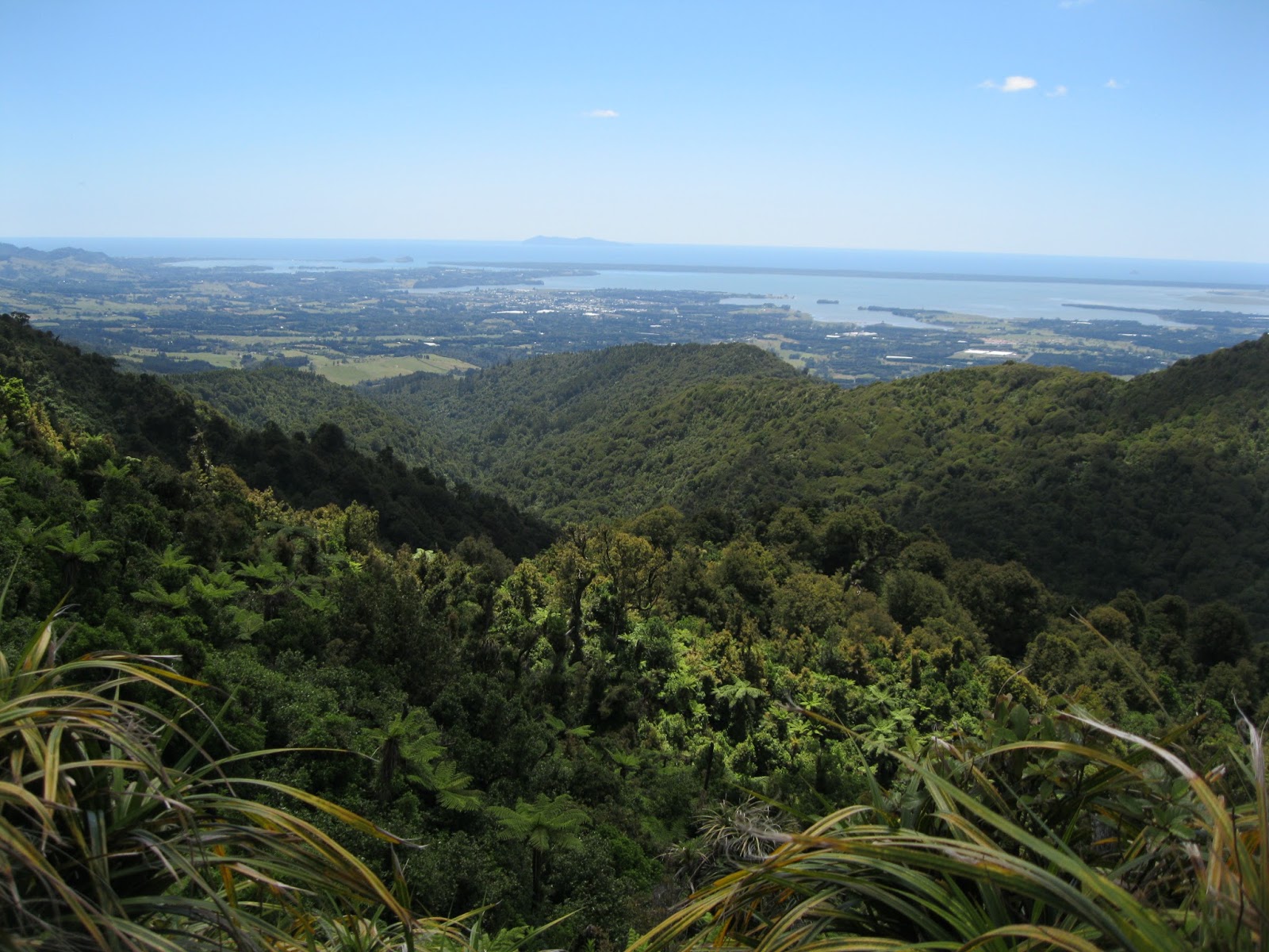 Enthusiastic Amateur Hiking the Kaimai Range 82km in 5 days