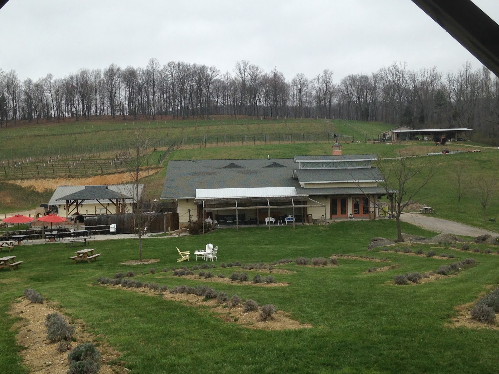 Daniel's Wine Blog Winery Visit Bellevue Estate