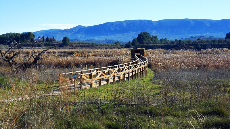 ALBUFERA DE GAIANES