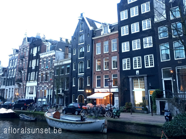Cityguide Amsterdam - a floral sunset