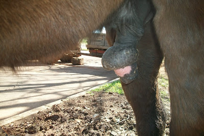 Papo de homem termino de namoro