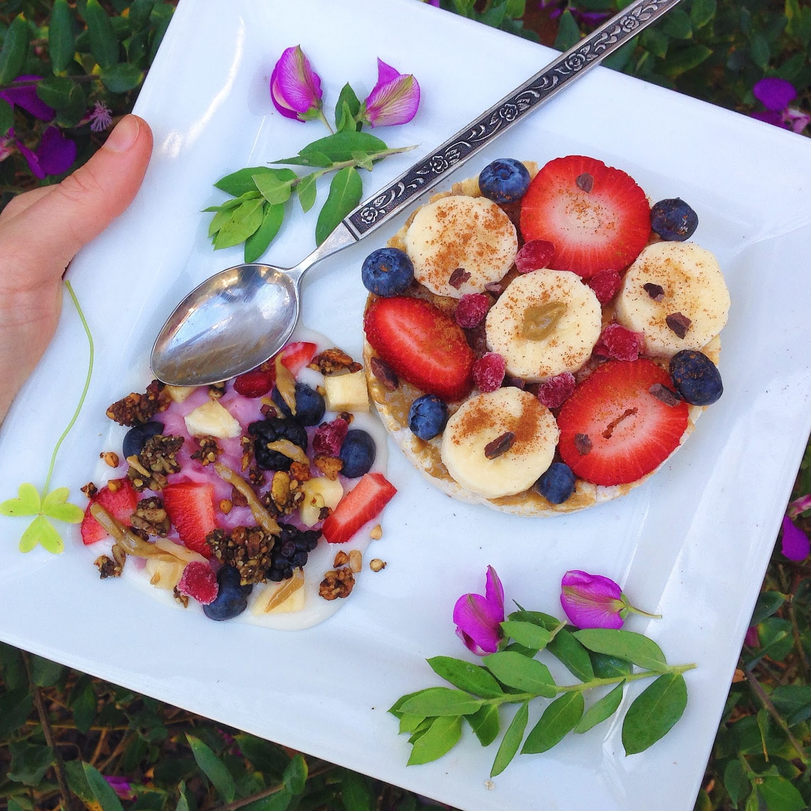 Diet Food to GF Delicacy Rice Cakes Four Ways (Gluten Free, Vegan)