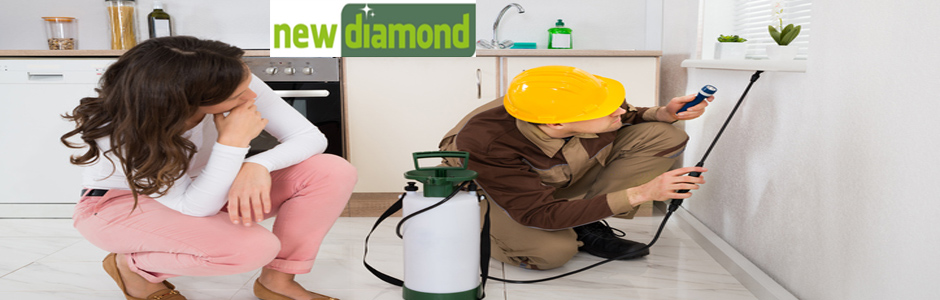 New Diamond Cleaning Services